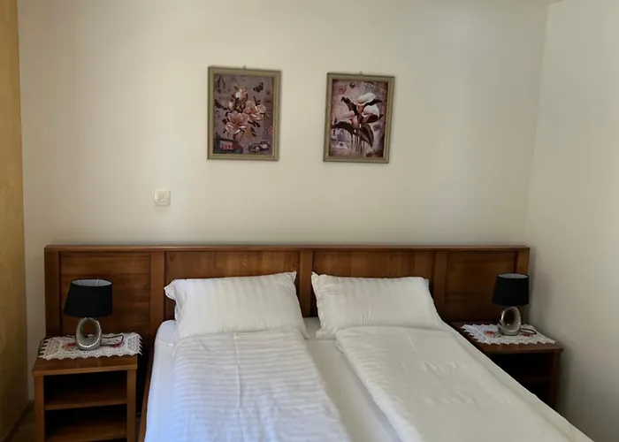 Monte Rosa 汽车旅馆 3*