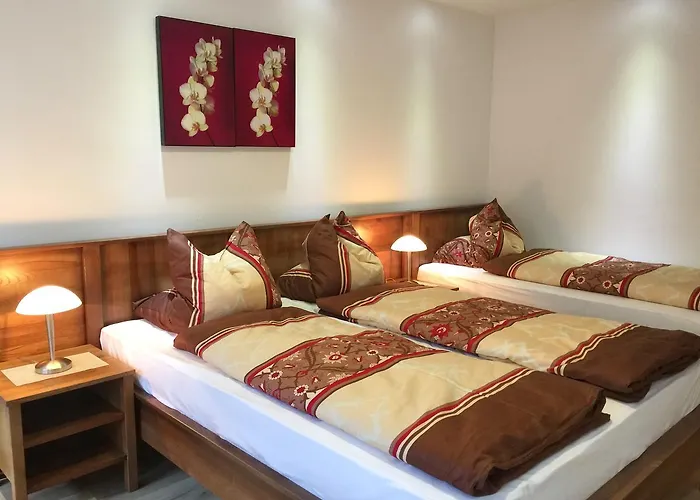 汽车旅馆 Monte Rosa 3*